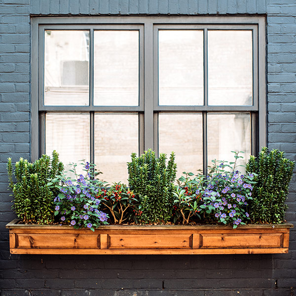 black sash windows london